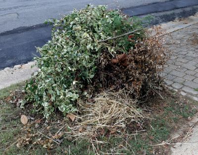 Yard Debris Removal in Honolulu, HI