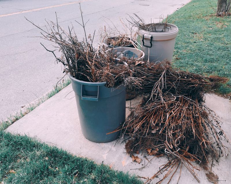 Yard Debris Removal in Honolulu, HI