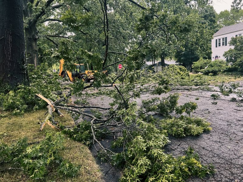Yard Debris Removal in Honolulu, HI