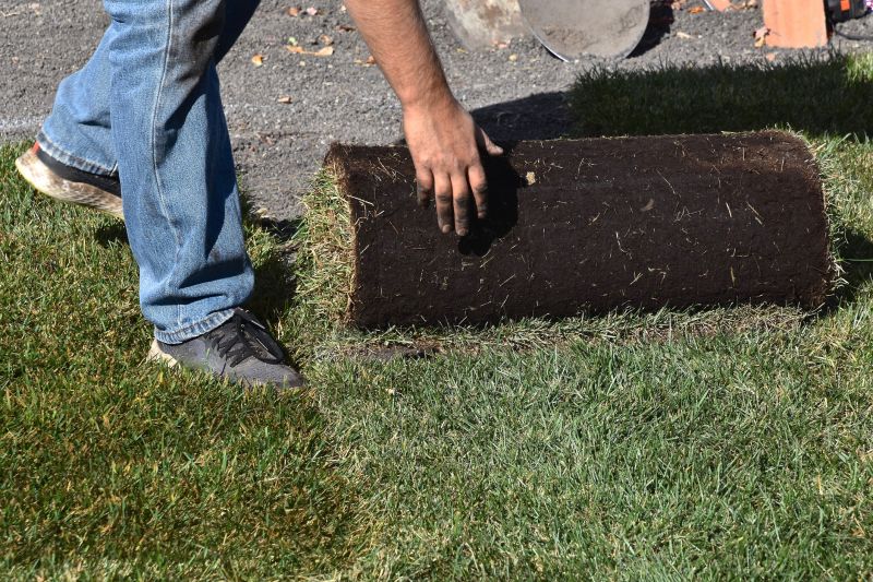 Yard Sod Replacement in Ventura County, CA