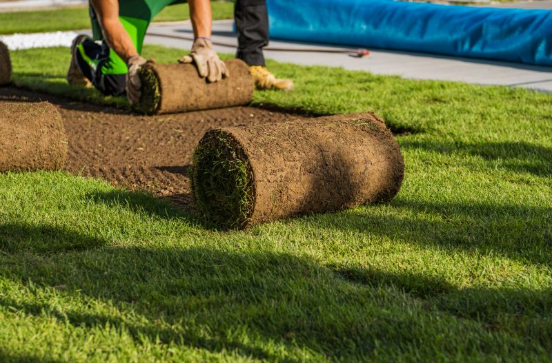 Zoysia Grass Installation in Rockwall, TX